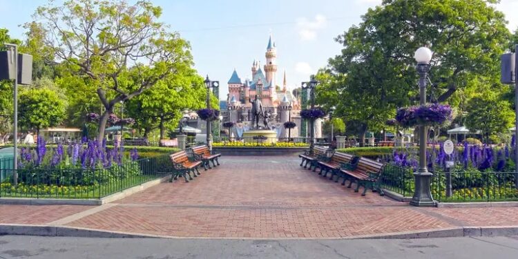 Desde hace años que Disney World no se sentía tan vacío: ¿qué está pasando?