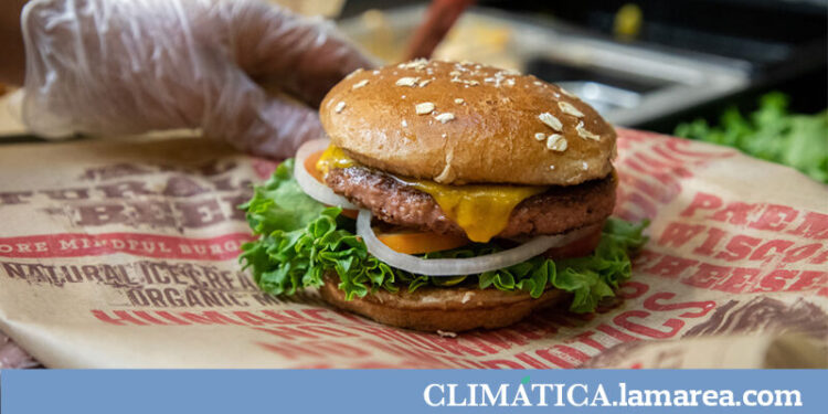 ¿Cuán sostenibles son las carnes falsas?