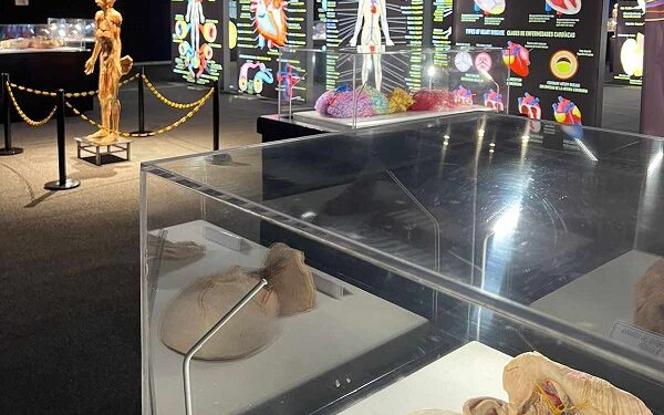 Invita Querétaro a la población del Bajío y de la CDMX a disfrutar BODIES: Cuerpos Humanos Reales