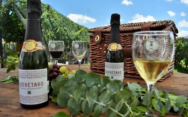 La elegancia y sofisticación de la ruta del vinode Queretaro
