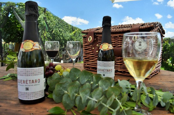 La elegancia y sofisticación de la ruta del vinode Queretaro