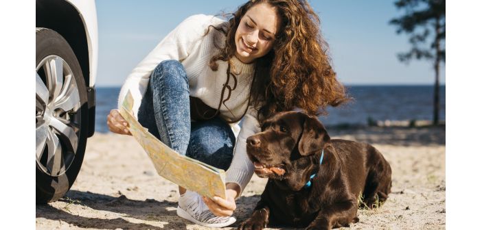Los consejos para viajar en cualquier medio de transporte - especiesPRO