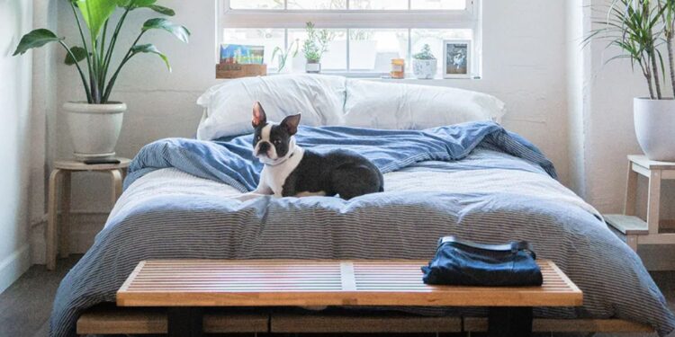 cómo hacer viajes baratos por todo el mundo