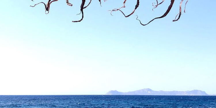 paisajes, restaurantes y hoteles de Grecia a Ibiza. ¡Estás a tiempo!