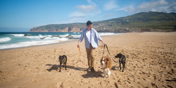 MASCOTAS | Vacaciones con tu mascota: ¿a qué sitios puedes ir?