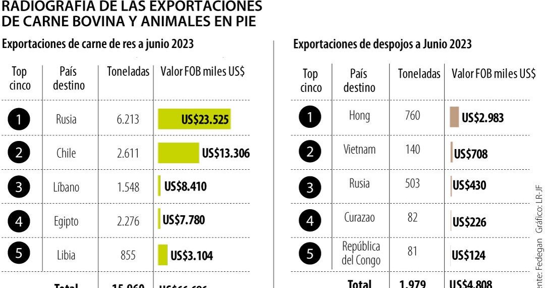 Exportaciones de carne bovina y despojos tendrían ajuste a la baja durante agosto