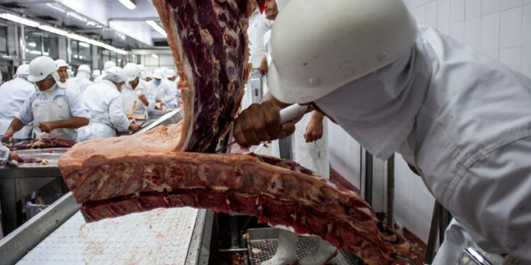 Logo de la radio M24