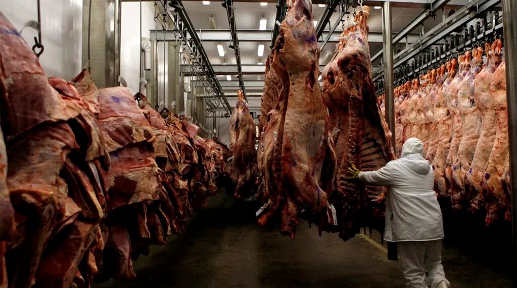 El mayor exportador sudamericano de carne compró frigoríficos por US$1500 millones en la región y sumó una planta en Argentina