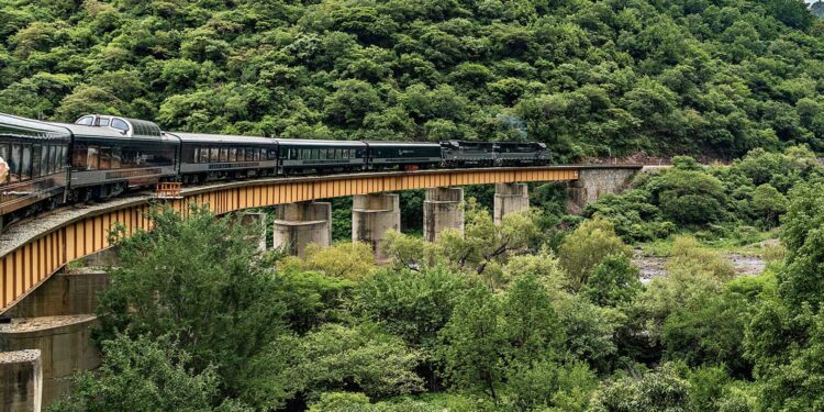 5 viajes en tren para saborear lentamente la vida local