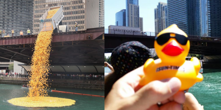 Más de $400 mil recaudados en carrera de patitos de goma del Chicago River