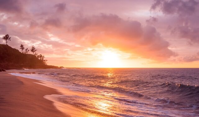 Demanda a la agencia de viajes extranjera Booking