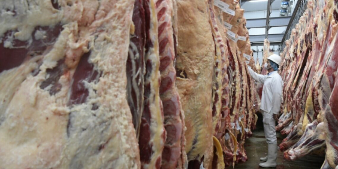 ARU mostró en cifras el riesgo de la concentración de los frigoríficos en el país - Rurales