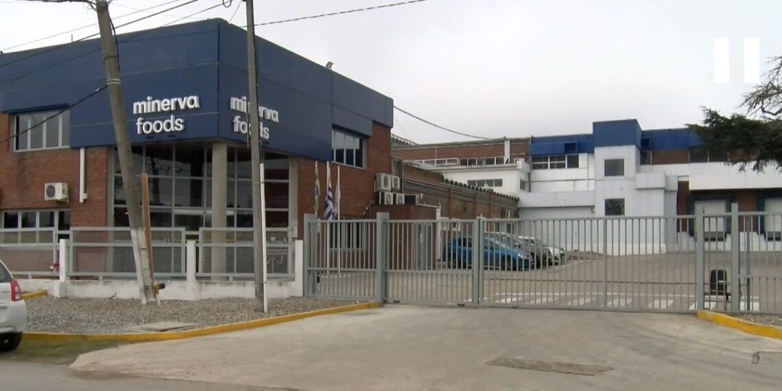 Minerva Foods comprará tres plantas a Marfrig en Uruguay