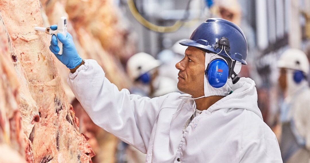 Minerva Foods suspende temporalmente faenado en Ciénaga de Oro y Bucaramanga