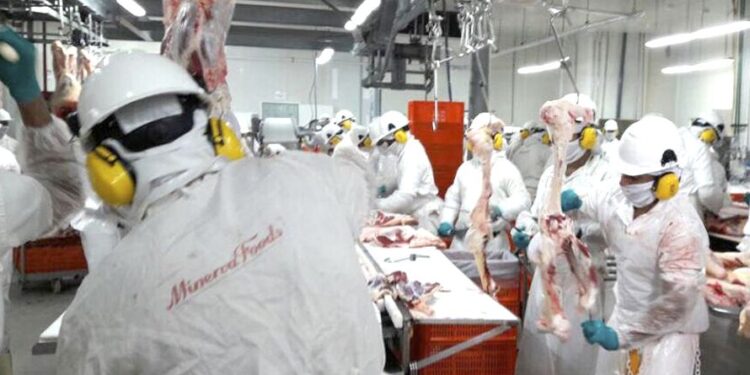 Logo contexto ganadero