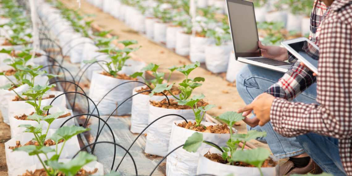 Agro food robotics, trazabilidad y data science se darán cita en Chile