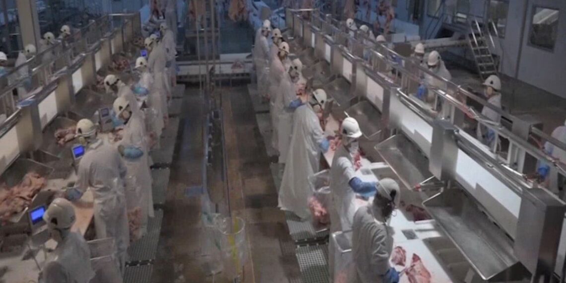 Sebastián Da Silva alerta por “un monopolio de hecho” que pone en riesgo la industria de la carne