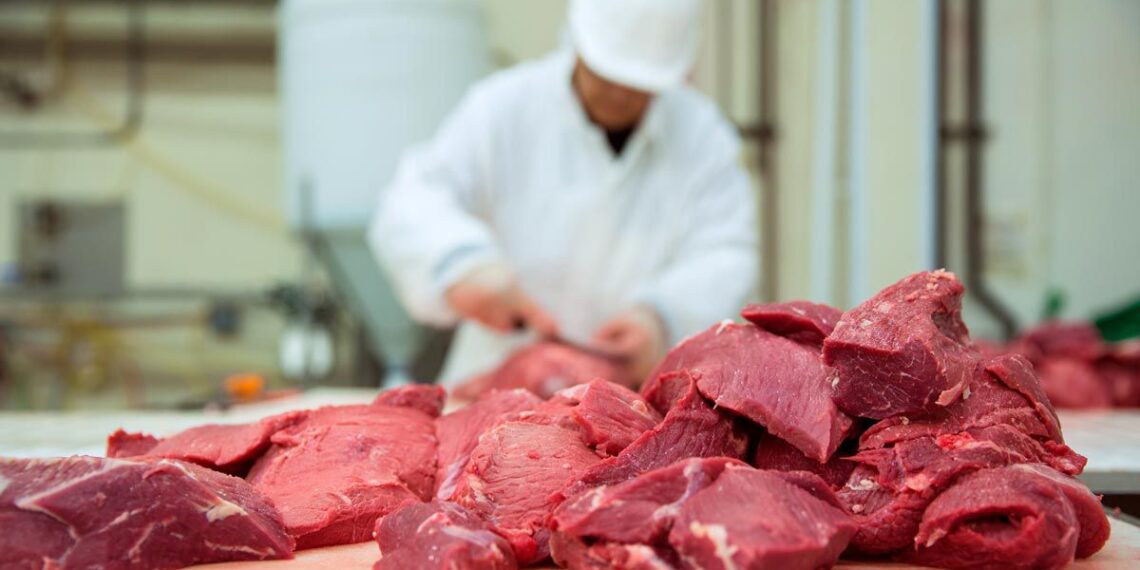 A worker cutting red meat, representing the meat plan workers settlement.