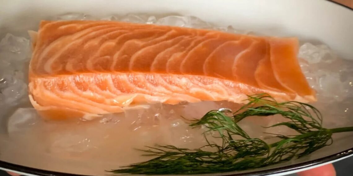 Este salmón sintético fue cultivado en laboratorio y sabe muy similar al del pez