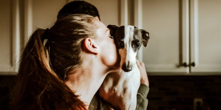 alojamiento gratuito y mascotas para viajar por el mundo