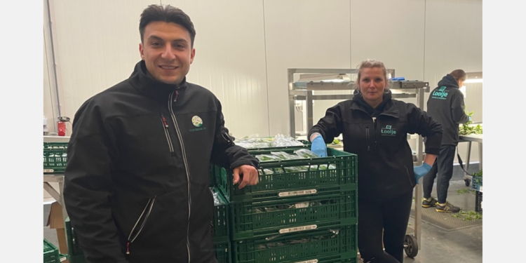 ¿Los productos ecológicos y los convencionales podrían tener el mismo precio en las tiendas?