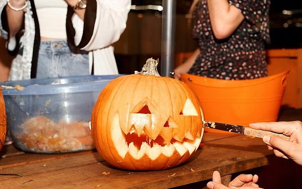 La temporada de calabazas llega al parque Pumpkin Patch San Pedro