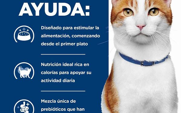 Hill’s Pet Nutrition presenta alimento para perros y gatos diagnosticados con cáncer