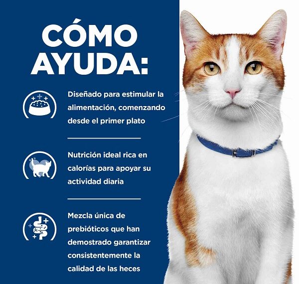 Hill’s Pet Nutrition presenta alimento para perros y gatos diagnosticados con cáncer