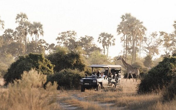 Más allá de un Safari en Botswana