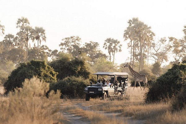 Más allá de un Safari en Botswana