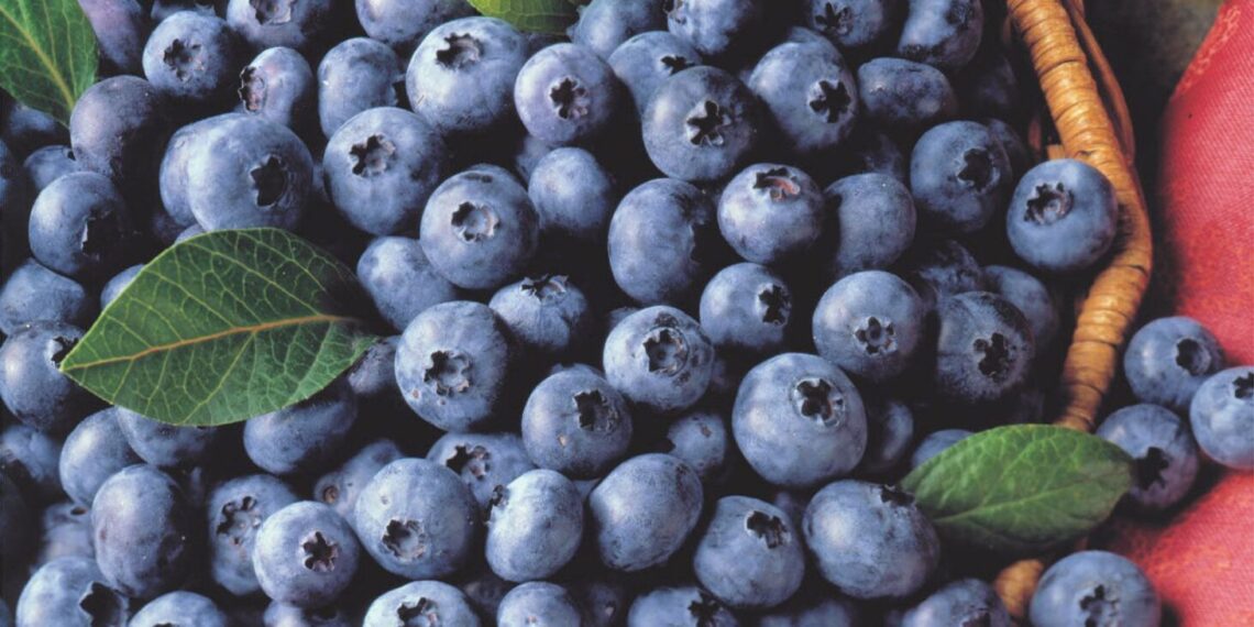 5 foods to calm anxiety and reduce depression