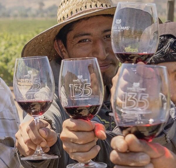 Bodegas de Santo Tomás: 135 años de producir vinos que cuentan historia
