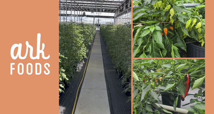 Ark Foods Cultivates a Greener Tomorrow