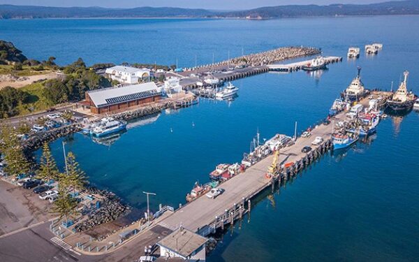 Australia: Nueva Gales del Sur elimina protocolos Covid a cruceros