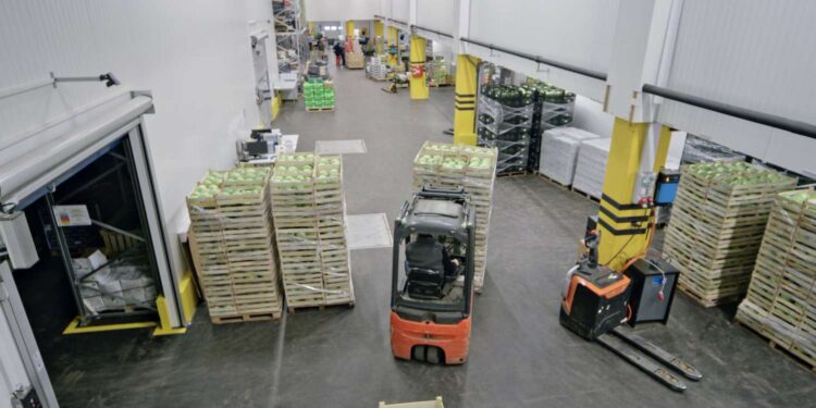 United Natural Foods Shares Crater After Posting a Loss and Its Guidance Misses Estimates