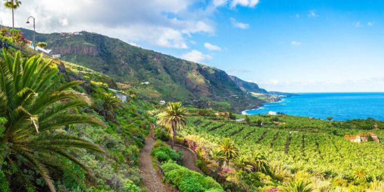 viaja a Tenerife por 200 euros (vuelo y hotel incluido)