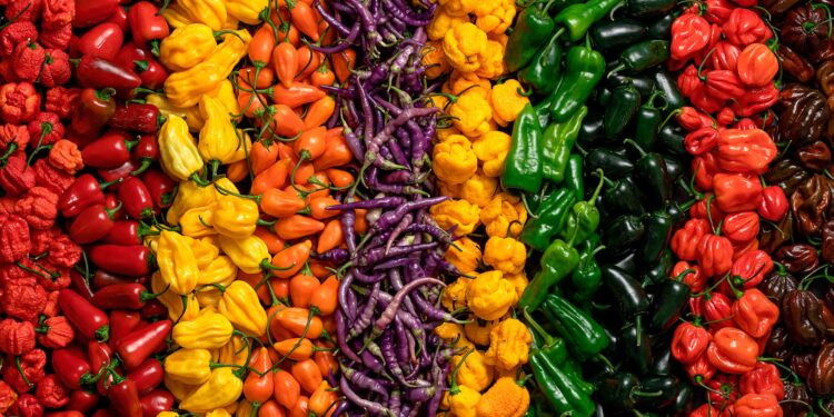 Conoce la cultura del chile con los talleres de Flor de jamaica