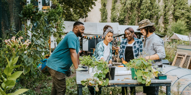 conoce las tendencias de viajes sustentables para 2023 – Valor Compartido