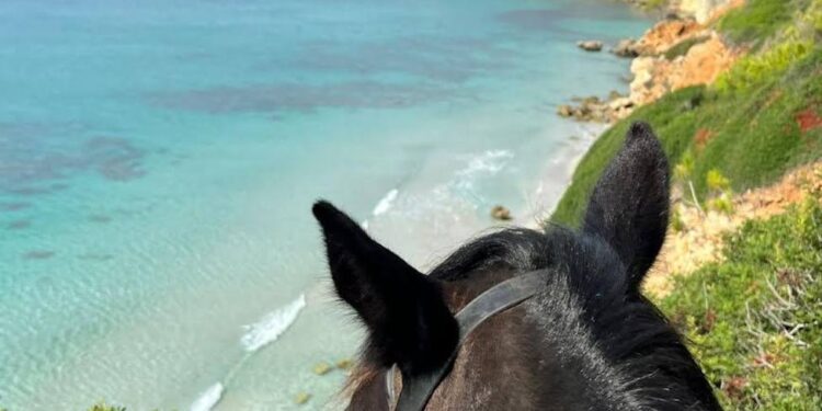 Menorca muestra sus potencialidades en el turismo activo, el turismo cultural y el turismo de lujo - Menorca