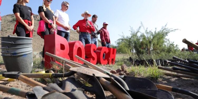 Programa Pulmones Urbanos reforesta la Sierra de San Miguelito
