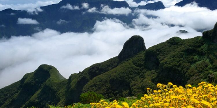 De enero a junio España lidera los viajes a Madeira