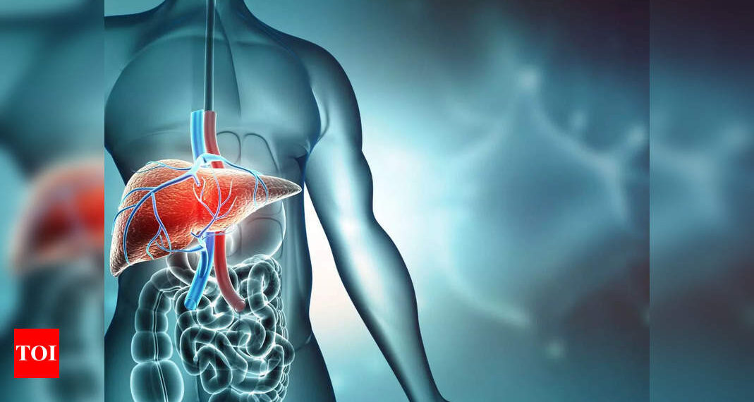 These foods in your lunch box are likely to lead to fatty liver