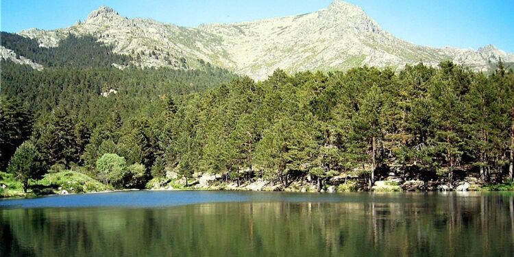 Las 21 mejores rutas en bici por Madrid