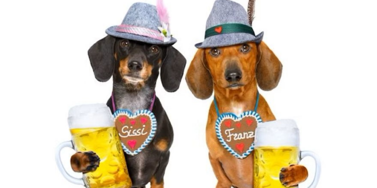 German pet food companies’ 2022 revenues