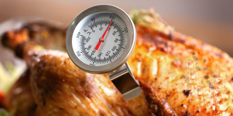 The Reason A Thermometer Is Still Useful When Air Frying Foods