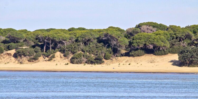 La Junta compra a la familia de Ebro Foods terrenos para ampliar Doñana: operación valorada en 70 millones