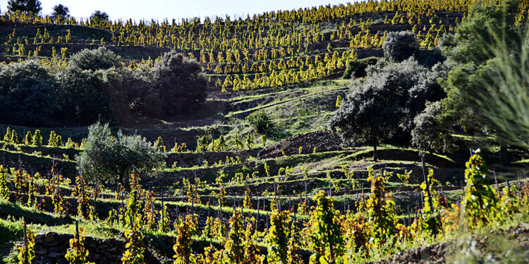 Las mejores 20 escapadas otoñales de fin de semana