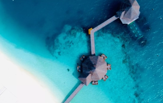 Las vacaciones de agosto que estropeó Lol.Travel