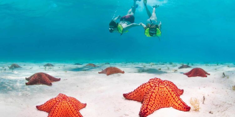 Cruceros de invierno de Norwegian Cruise Line