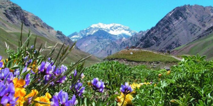 Los 10 mejores destinos turísticos de la Argentina para viajar en primavera, según la inteligencia artificial